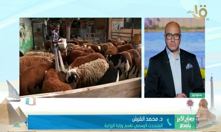 الزراعة تطرح 12 ألف أضحية بأسعار مخفضة وتكثف الرقابة استعدادًا لعيد الأضحى 
