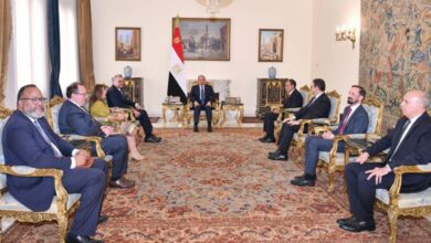 السيسي يبحث مع مستشار ترامب الأوضاع في غزة وليبيا والسودان 