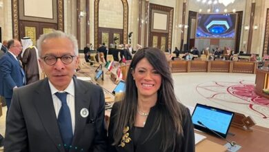 المشاط تبحث مع وزير الاقتصاد والتجارة اللبناني ترتيبات الدورة العاشرة للجنة العليا المشتركة بين مصر ولبنان