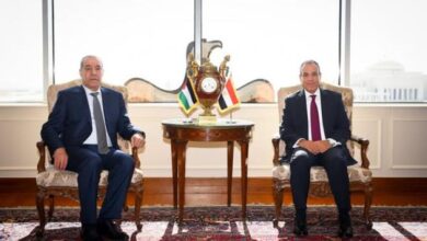 وزير الخارجية يؤكد استمرار مصر في جهود الوساطة لوقف إطلاق النار في غزة