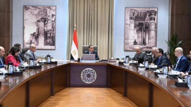 مدبولي يتابع موقف تنفيذ عددٍ من المشروعات الخدمية والتنموية بالوادي الجديد 