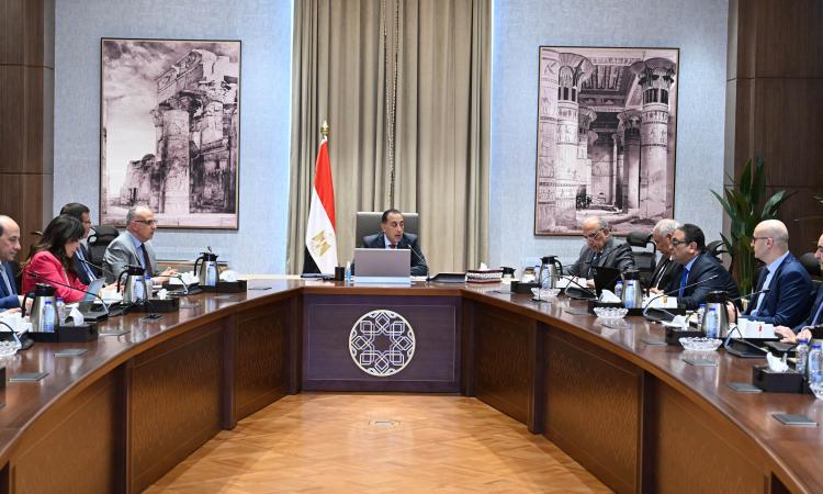 مدبولي يتابع موقف تنفيذ عددٍ من المشروعات الخدمية والتنموية بالوادي الجديد 