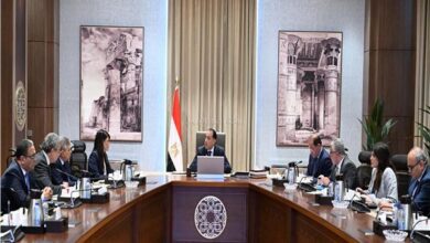 رئيس الوزراء يؤكد أهمية الخطوات التي يتم اتخاذها بهدف إعادة هيكلة الهيئات الاقتصادية