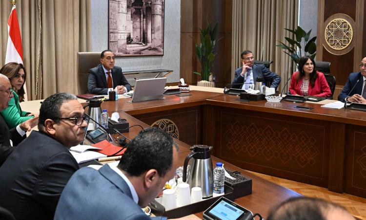 رئيس الوزراء يتابع جهود توطين صناعة الحرير في مصر 