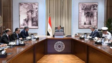 "مدبولي":حصر شامل للآثار الغارقة لاستخراجها أو تخصيص مواقعها للغطس للسائحين