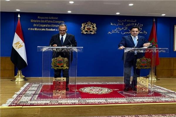 الخارجية يسلم نظيره المغربي رسالة خطية من الرئيس السيسي لملك المغرب 