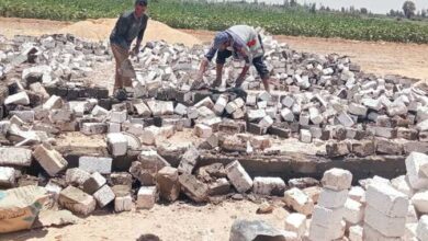 إزالة 44 حالة تعدٍ على الزراعة في ثالث أيام العيد ببعض محافظات الجمهورية 