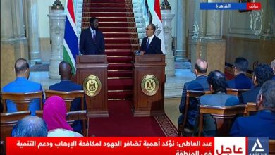 بالفيديو.. عبد العاطي يؤكد أهمية تضافر الجهود لمكافحة الإرهاب ودعم التنمية 