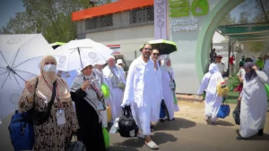 نجاح تصعيد الحجاج المصريين إلى عرفات وسط تنظيم محكم من بعثة حج القرعة