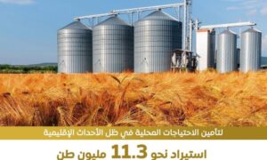مصر تتخذ إجراءات استباقية للأزمات لضمان تحقيق الأمن الغذائي للمواطنين 