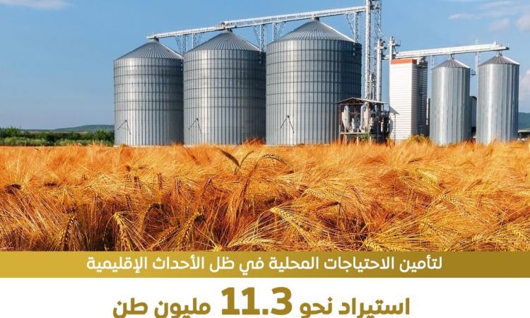 مصر تتخذ إجراءات استباقية للأزمات لضمان تحقيق الأمن الغذائي للمواطنين 