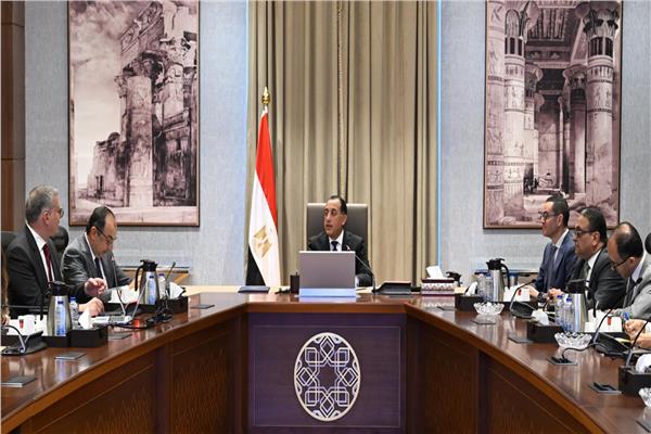 رئيس الوزراء يتابع تنفيذ برنامج الطروحات الحكومية في قطاعي البترول والأعمال العام 