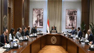 رئيس الوزراء يستعرض خطوات تنفيذ برنامج الطروحات الحكومية في قطاع الاتصالات 