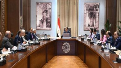 مدبولى : الأحداث تتغير كل ساعة.. ونعمل على سيناريوهات لمختلف التداعيات 