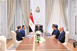 الرئيس السيسي: الأمن الغذائي المصري في وضع مستقر ومطمئن