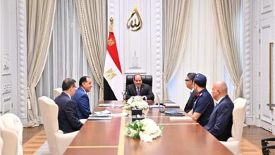 الرئيس السيسي: الأمن الغذائي المصري في وضع مستقر ومطمئن