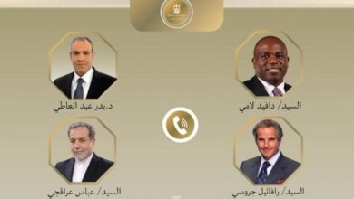 وزير الخارجية يواصل اتصالاته المكثفة لخفض التصعيد بالمنطقة