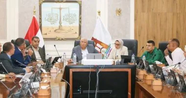 محافظ الوادي الجديد يبحث موقف ملفات التقنين والتصالح بمراكز المحافظة