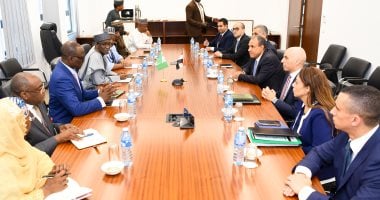 وزير الخارجية يؤكد لمستشار الأمن القومي النيجيري أهمية توثيق التعاون في مكافحة الإرهاب 