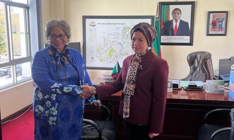 سفيرة مصر بزامبيا تؤكد أهمية التعاون بين البلدين في قطاعي الصحة والدواء  