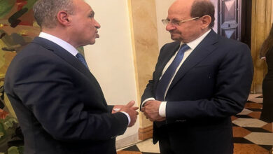 عبد العاطي يجري لقاءات ثنائية مع نظرائه بإسبانيا وإيطاليا واليمن وأبو الغيط