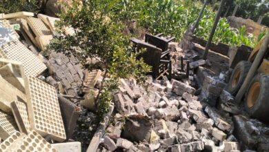 محافظة الجيزة تزيل 144 حالة تعدي على الأراضي الزراعية خلال شهر نوفمبر بالمراكز والمدن