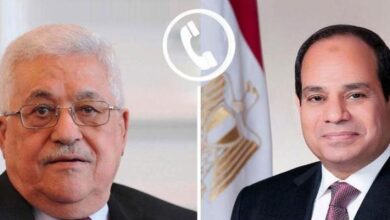 الرئيس السيسي يؤكد استمرار الجهود المصرية المكثفة لوقف إطلاق النار في غزة 