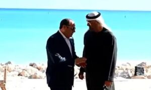 المتحدث الرئاسي ينشر "فيديو" لقاء الرئيس السيسي ورئيس دولة الإمارات 