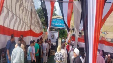 اقبال متزايد علي لجان انتخابات مجلس الشيوخ 2025 بدمياط