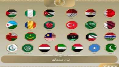 مصر و23 دولة يصدرون بيانا مشتركا بشأن التطورات في قطاع غزة