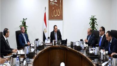 رئيس الوزراء: دعم كامل من الحكومة لتطوير سوق رأس المال 