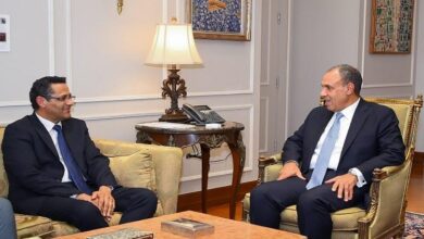 "عبد العاطي"يعرب عن تقديره لدور نقابة الصحفيين في الدفاع عن القضايا الوطنية