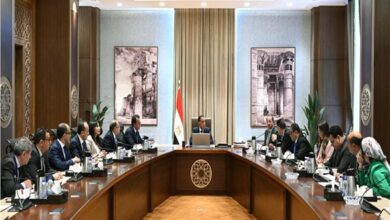 رئيس الوزراء يتابع جهود دعم صناعة الدواء في مصر