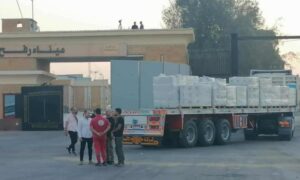 بالتنسيق مع مصر.. عبور 20 شاحنة إماراتية من كرم أبو سالم تمهيدا لدخولها غزة 