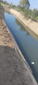  زراعةالمنوفية: توافق على ترخيص 717 مشروعا زراعيا 