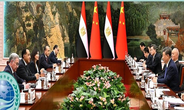 مدبولي: هناك نماذج ناجحة للشركات الصينية في مصر بأكثر من 3مليارات دولار 