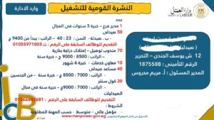 براتب يصل لـ9400 جنيه.. «العمل» تعلن 191 وظيفة في مجال الصيدلة 
