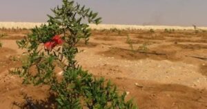 ننشر كراسات شروط أراضى الإسكان المتوسط والمتميز والأكثر تميزا في 18 مدينة