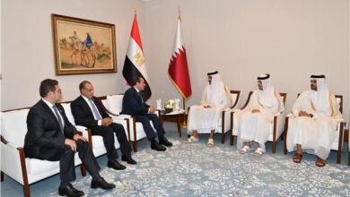 السيسي وأمير قطر يؤكدان أهمية تشكيل جبهة موحدة لحماية الأمن القومي العربي