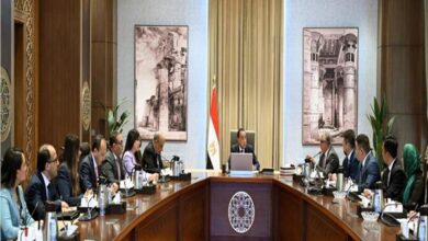 رئيس الوزراء يبحث توطين صناعة مكونات مشروعات الطاقة المتجددة