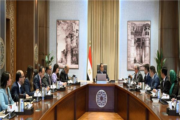 رئيس الوزراء يبحث توطين صناعة مكونات مشروعات الطاقة المتجددة