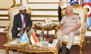 وزير الدفاع يبحث مع نظيره الصومالي سبل تعزيز أوجه التعاون العسكرى