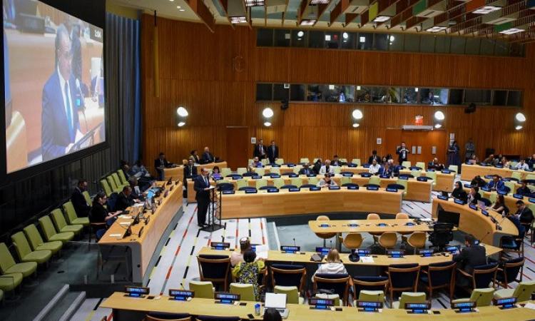 وزير الخارجية يشارك في الاحتفال باليوم العالمي للقضاء علي الأسلحة النووية 