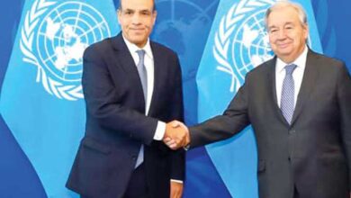 «عبد العاطى» لـ«جوتيريش»: مصر تعتزم تنظيم مؤتمر دولى لـ«إعادة الإعمار» 