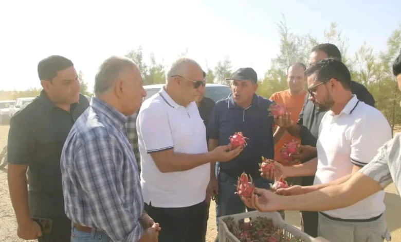 الوادى الجديد تنفذ تجربة زراعة أغلى الفواكه الاستوائية فى مصر.. سهل بركة بالفرافرة يشهد نجاح زراعة فاكهة "الدراجون فروت" لأول مرة 