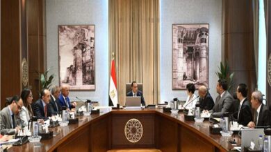 رئيس الوزراء يلتقي مسئولي شركة «BYD Auto» العالمية