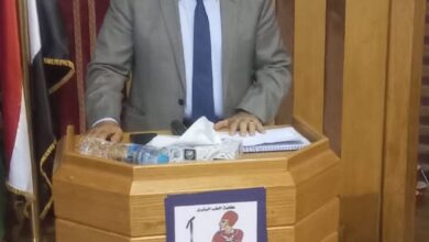 الخبير الاستراتيجى سمير فرج لطلاب جامعة القاهرة: إسرائيل ستظل العدو الأبدى لمصر