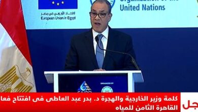 وزير الخارجية: مصر قادت على مدار تاريخها مسارات السلام 