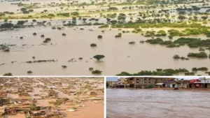 عباس شراقي: فيضانات السودان سببها سوء إدارة إثيوبيا لسد النهضة