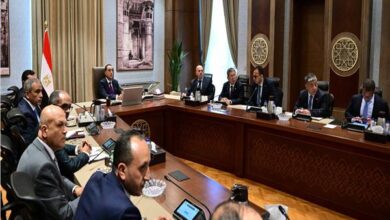 رئيس الوزراء يلتقي نائب رئيس مجموعة «سيتك» الصينية العملاقة